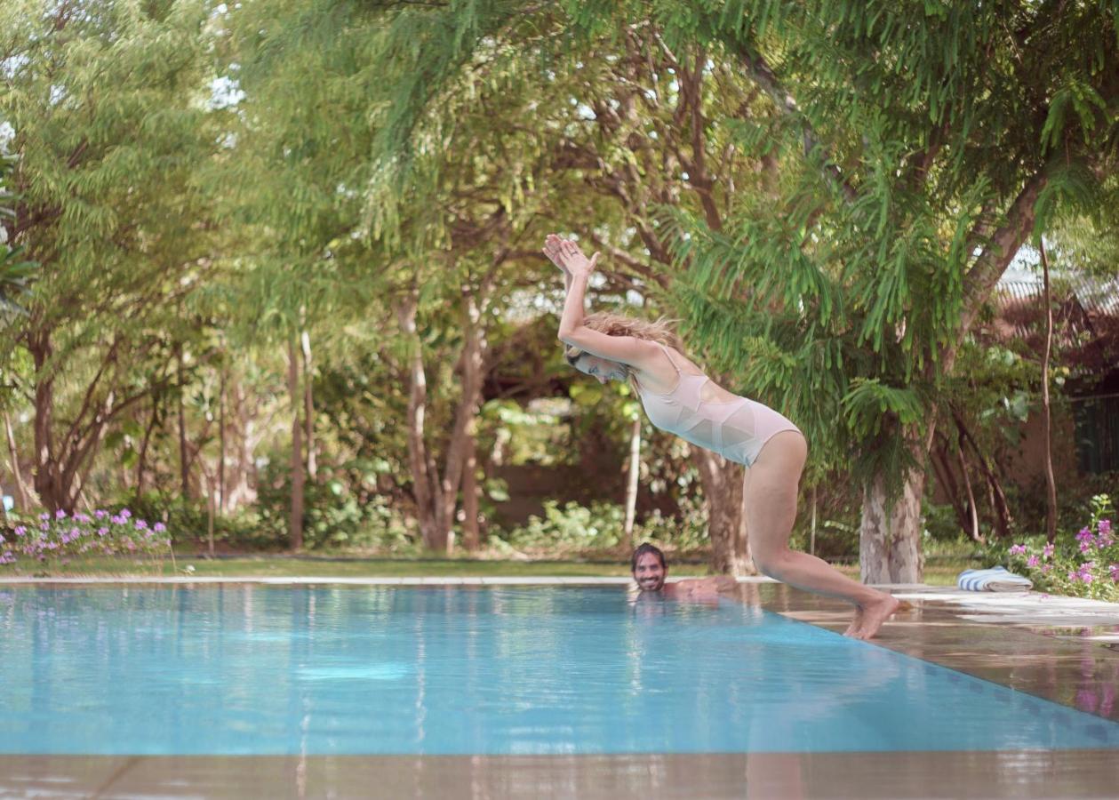 Pushkarorganic - Lux Farm Resort With Pool Buitenkant foto
