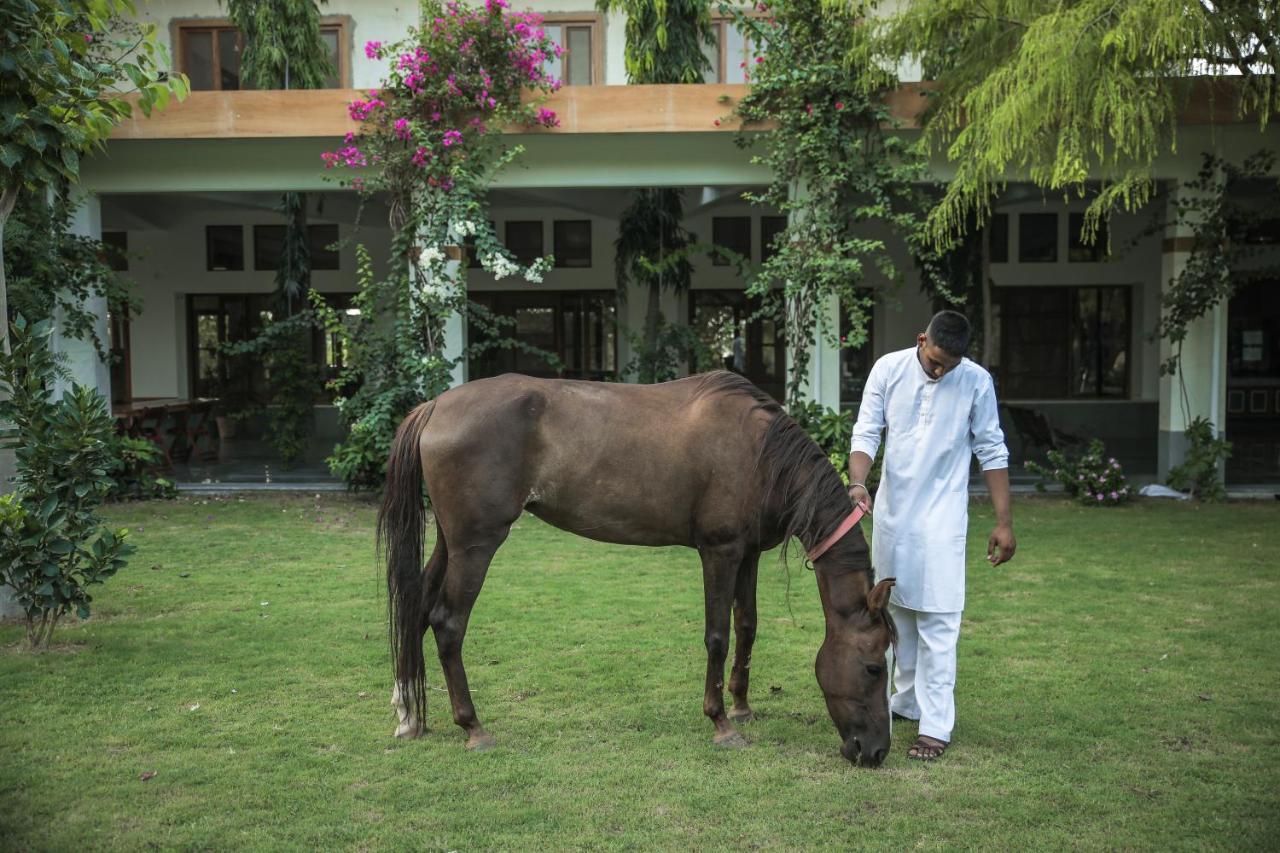 Pushkarorganic - Lux Farm Resort With Pool Buitenkant foto