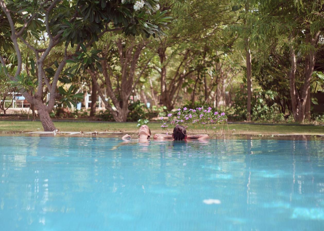 Pushkarorganic - Lux Farm Resort With Pool Buitenkant foto