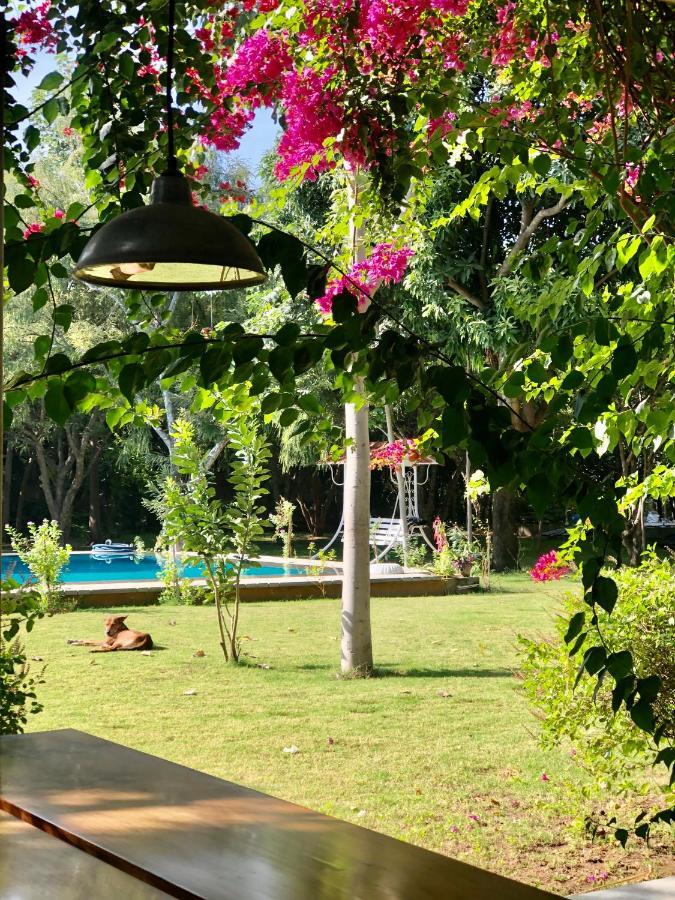 Pushkarorganic - Lux Farm Resort With Pool Buitenkant foto