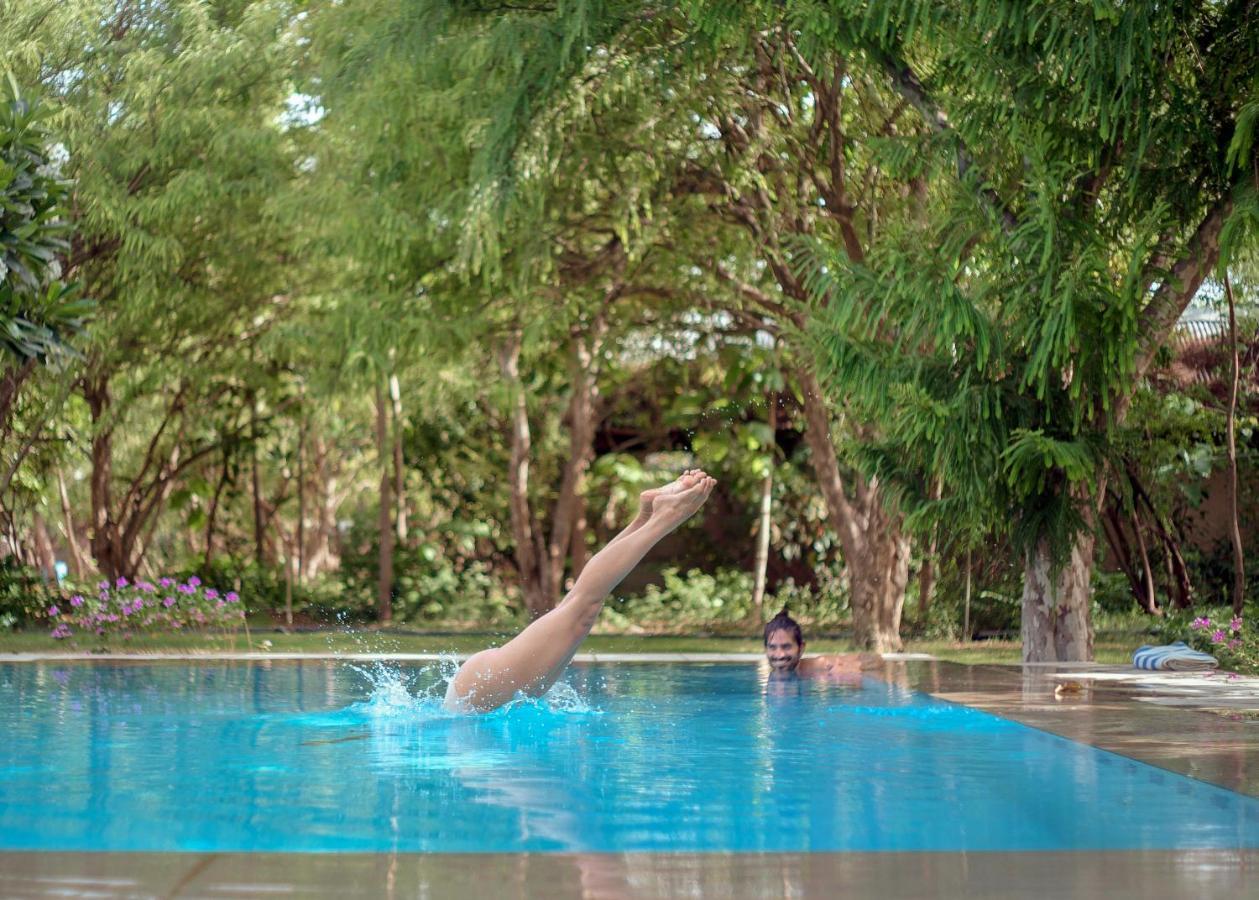 Pushkarorganic - Lux Farm Resort With Pool Buitenkant foto
