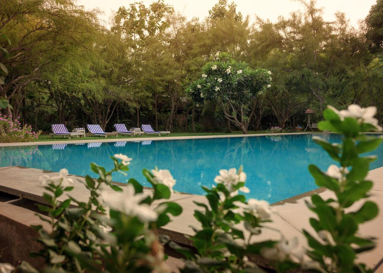 Pushkarorganic - Lux Farm Resort With Pool Buitenkant foto
