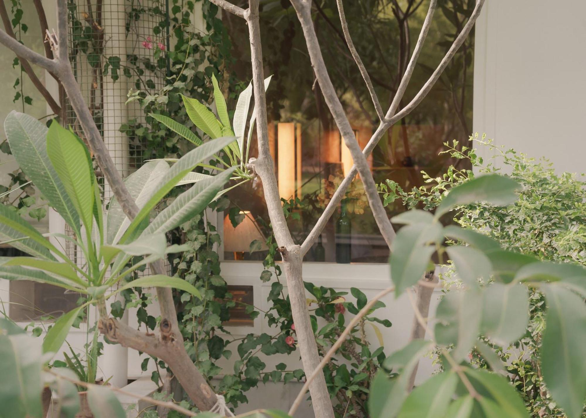 Pushkarorganic - Lux Farm Resort With Pool Buitenkant foto